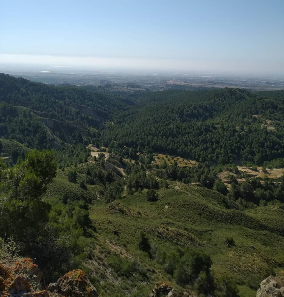 cuevasdelbuitre