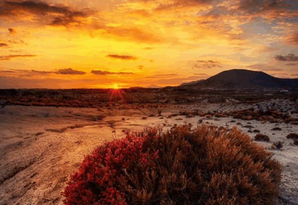Una de las fotografías (cortada) ganadoras en el concurso celebrado en 2024, realizada en el desierto de Mahoya (Abanilla) / CARM.