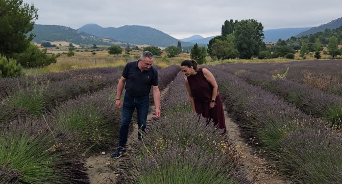 La consejera Sara Rubira junto al alcalde de Moratalla en un campo de Lavandín / CARM.
