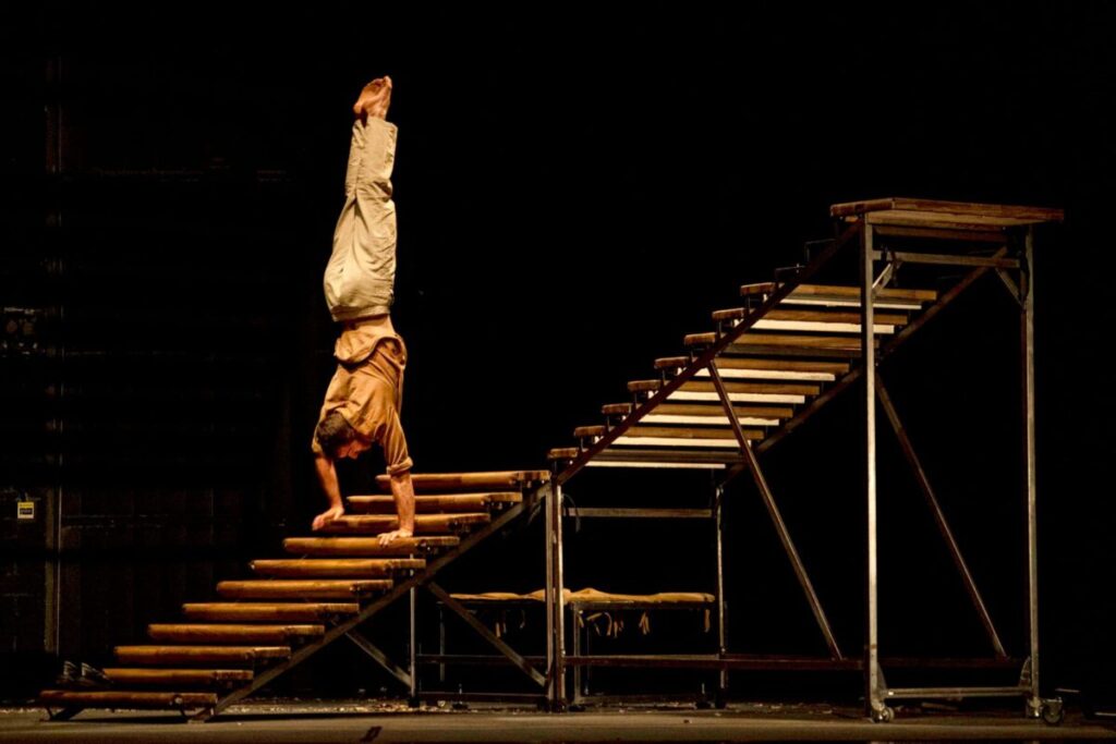 Imagen de uno de los espectáculos / Circo a Escena.