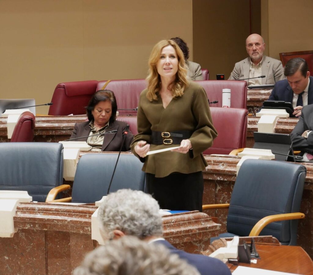 La consejera de Empresa, Marisa López Aragón, durante su intervención en la Asamblea Regional / CARM.