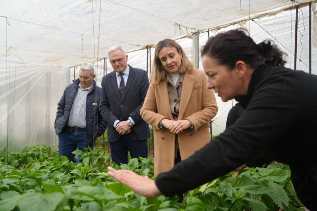 La consejera Conchita Ruiz junto con el alcalde de Torre Pacheco, Pedro Ángel Roca, visitando la explotación agraria de una mujer agricultora / CARM.