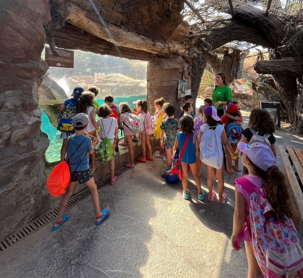 Imagen de la escuela de verano / Portavoz.