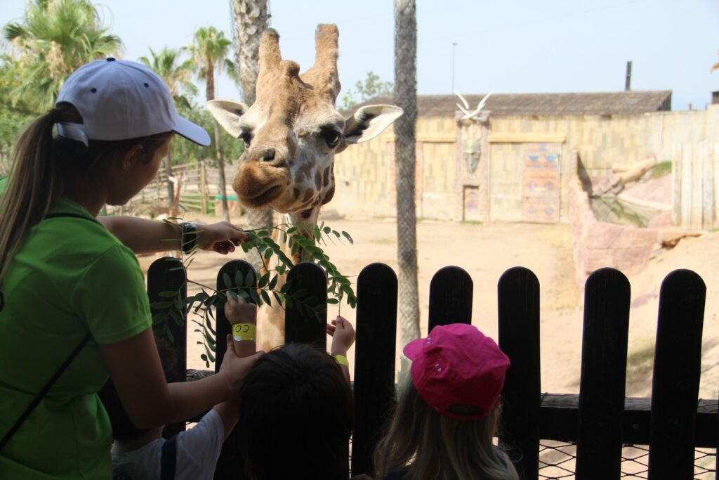 Un grupo de niños disfruta de los animales del parque junto a su monitor / Portavoz.